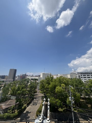 ハイエスト大倉山公園の展望