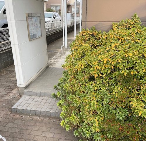 レオパレスコスモスハイツのその他