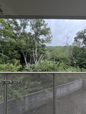 ハイライフ雲雀ヶ丘の展望