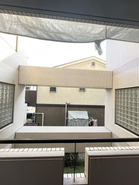 パレエシャロットの展望