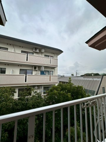 パンプランテ甲子園の展望