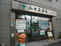 【周辺】 | ブライズ両国 | 山田屋薬局まで238m 