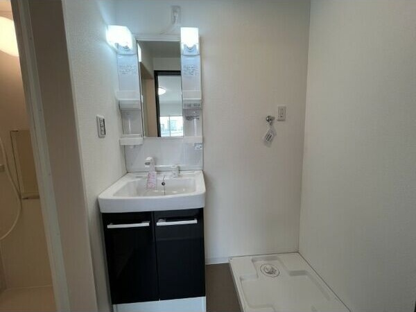 ジーメゾン名古屋松下イエシアの洗面所