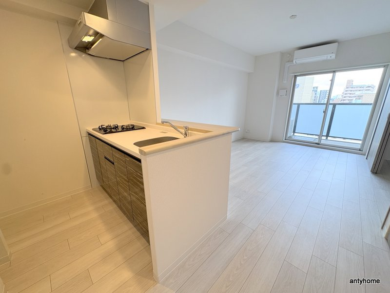 SUNREGIS NAMBA　仲介手数料無料の洋室