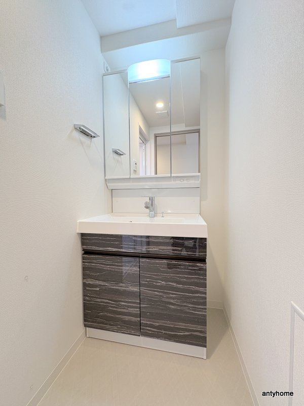 SUNREGIS NAMBA　仲介手数料無料の洗面所