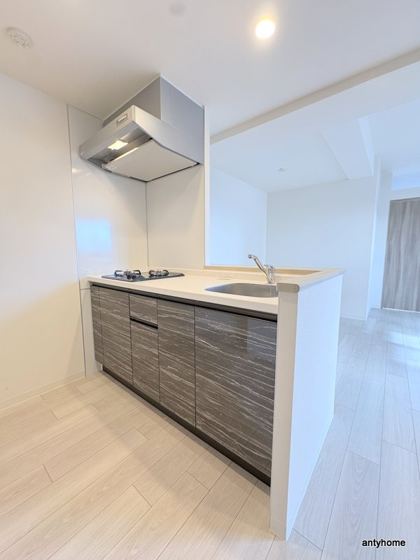 SUNREGIS NAMBA　仲介手数料無料のキッチン