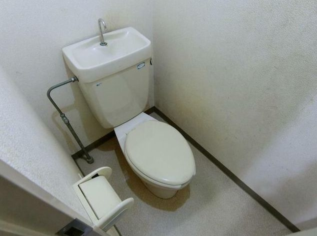 さいたま市浦和区常盤８丁目の賃貸マンションのトイレ