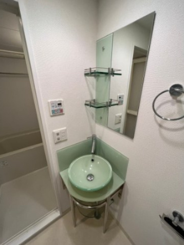 ラシュレエグゼ本町の洗面所