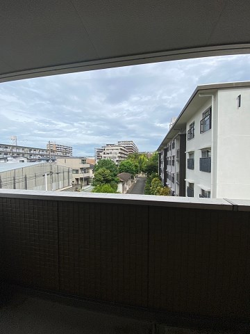 ラナコートの展望