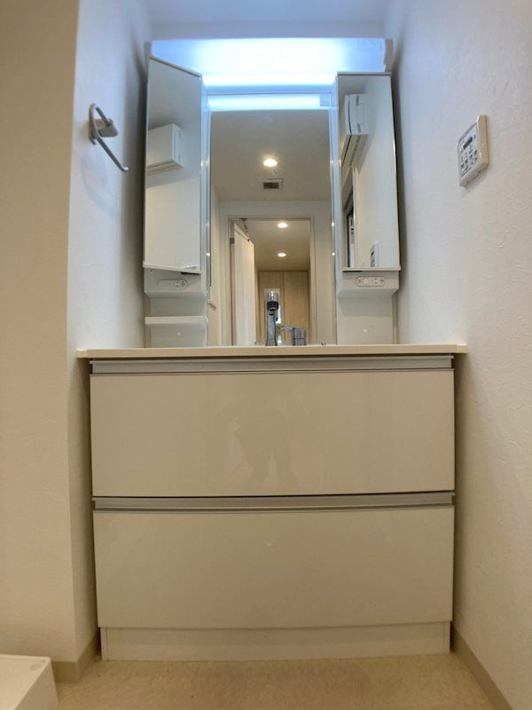 ラクラス本町東の洗面所