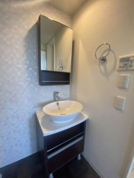 Ravir六番町(ラヴィール六番町)の洗面所