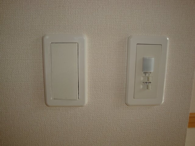 アクア　ドルチェ　ドゥーエのその他|センサースイチイ