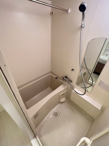 プレサンス松屋町グレースの浴室
