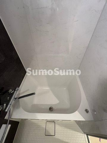 ルフォンプログレ堺筋本町タワーレジデンスの浴室