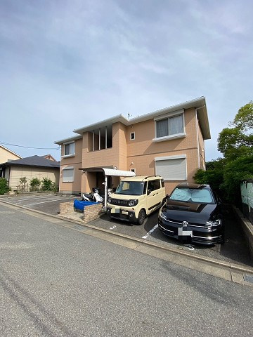ペリウィンクル