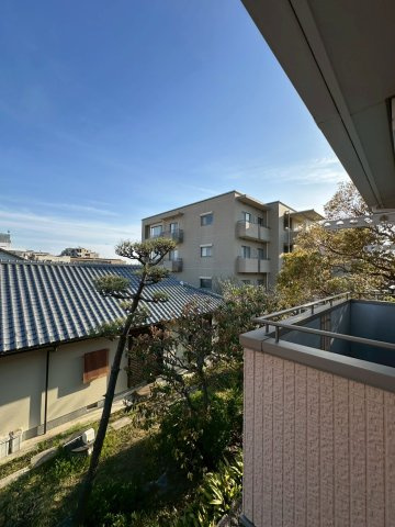 ペリウィンクルの展望