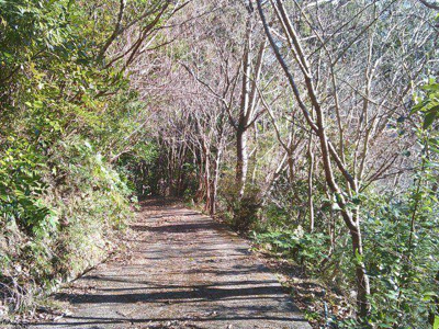 【外観】 | 熱海市梅園町・西熱海　売地
