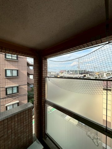 ベルファーム甲子園の展望