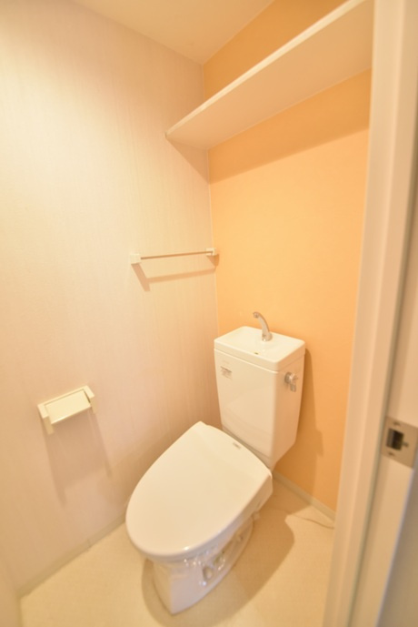 イリエビルのトイレ