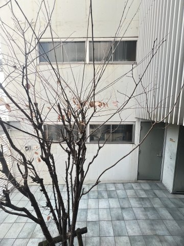 ラ・ウェゾン北野の展望