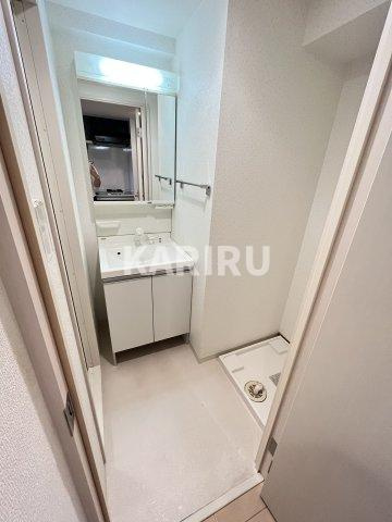 レークス大阪城イーストの洗面所