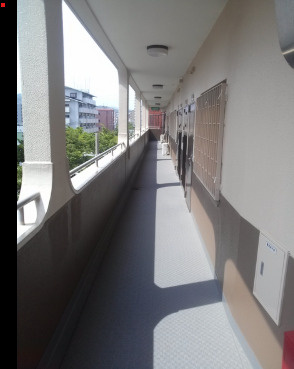 西宮センタービルの展望