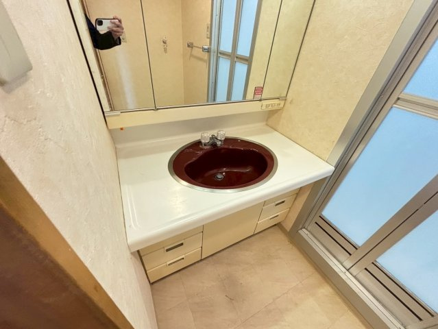 西宮香枦園ロジュマンの洗面所