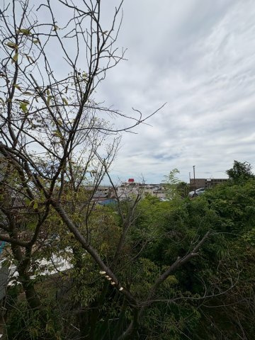 高倉山ハイツの展望
