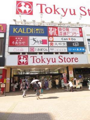 【周辺】 | ソラーナ金町 | 金町東急ストアまで650m 