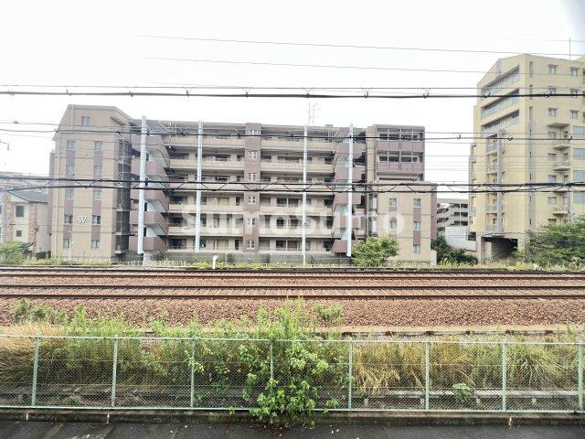 リンクス岡本の展望