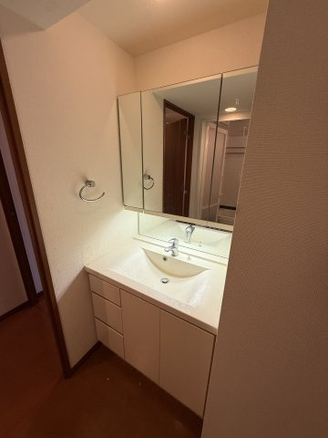 淀屋橋アップルタワーレジデンスの洗面所