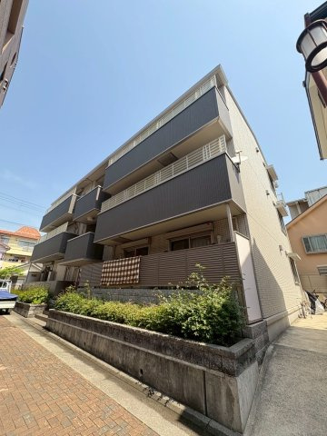 栖