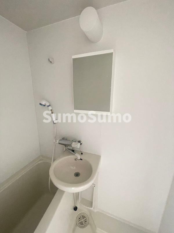 板宿リッチライフの洗面所|広い洗面スペース