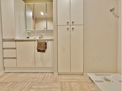 サクラディアサークルコートの洗面所