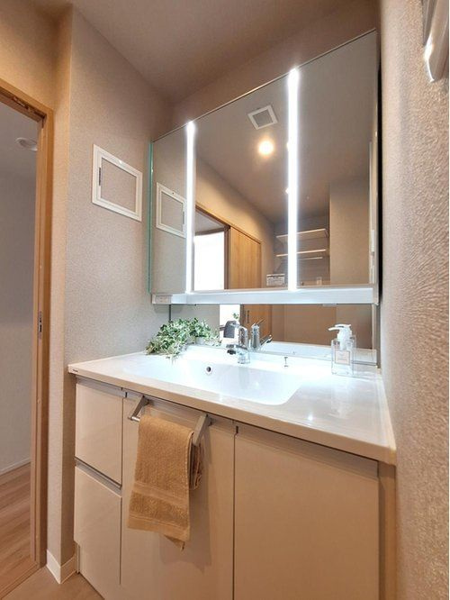 コスモ南浦和ステーシアの洗面所