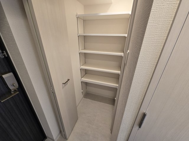 エスリード ザ・レガリア新栄ALTAIER|名古屋市の賃貸ならMy賃貸の収納|エスリード ザ・レガリア新栄ALTAIER