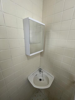 【洗面所】 | フェリーチェ吉祥寺