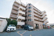 グリーンウッドの画像