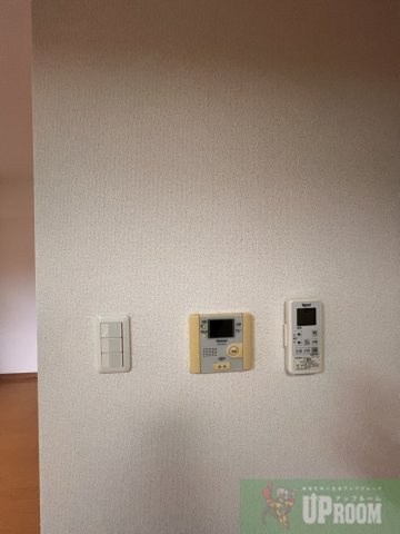 翠城Iのその他共用部分