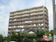 パルデンスエコノⅤの画像