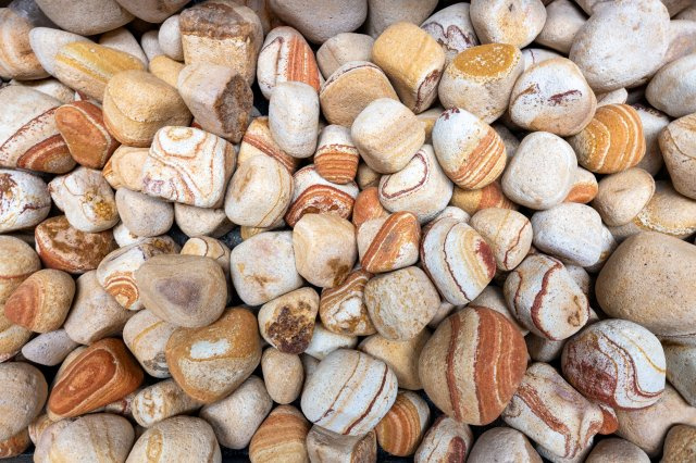 ARROWS EAST　Aのその他