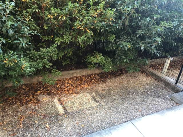 エクレール　シャトーのその他|庭