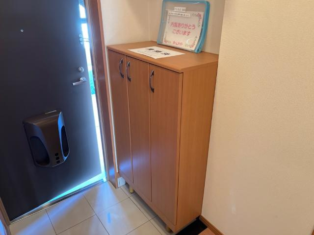 アリウスの収納|下駄箱