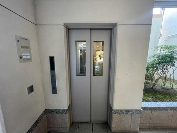 【その他】 | ルワージュ・フェルティくずは