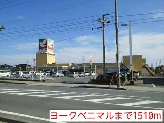 エルディム吉田Ｂの周辺|ヨークベニマルまで1510m