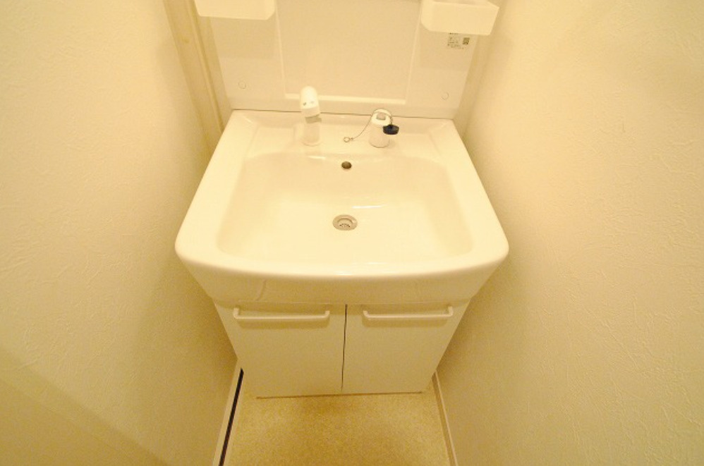 ケープラスの洗面所