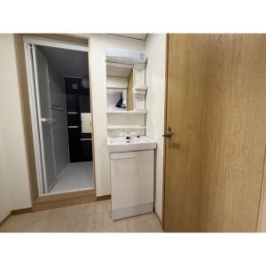 小野マンションの洗面所