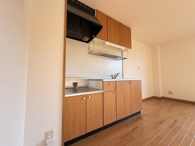 岡崎市赤渋町字西河原のアパートのキッチン