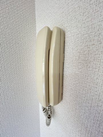 ウエストポーチのセキュリティ