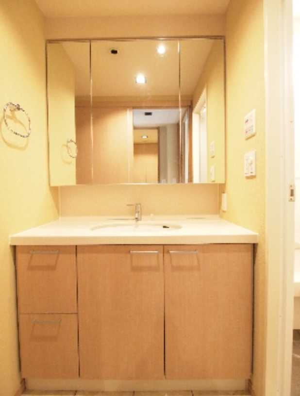 エスティメゾン銀座　駅近　ペット相談可　シャーメゾンの洗面所